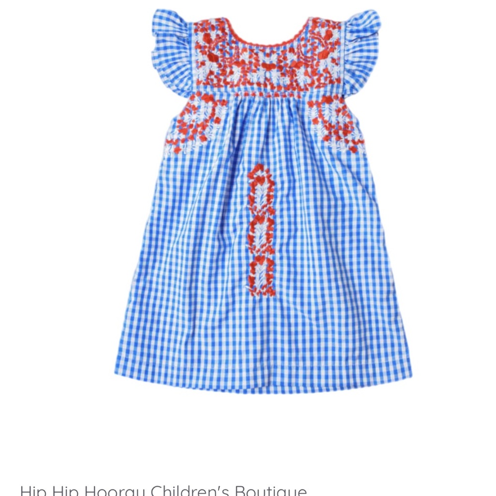 Blue Gingham Dress with Red Embroidery